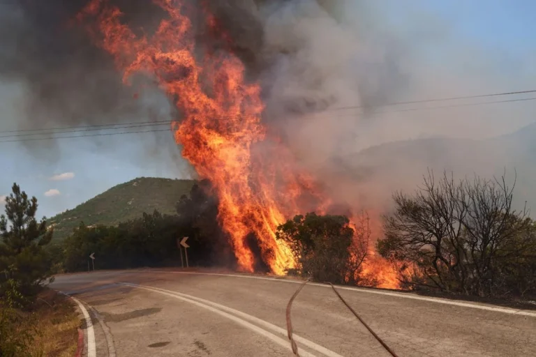 Τεράστιο το μέτωπο στον Έβρο: Μήνυμα του 112 για εκκένωση σε Λευκίμμη και Κασσιτερά Ροδόπης