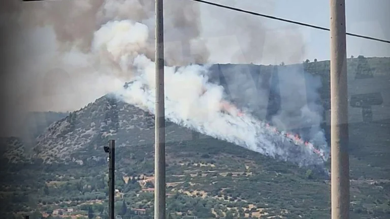 Δίωξη για κακούργημα στον 45χρονο που συνελήφθη για εμπρησμό στον Αυλώνα – Την Τρίτη η απολογία του