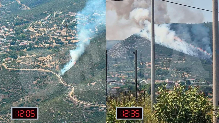 Αποκαλυπτικές φωτογραφίες από τη φωτιά στον Αυλώνα – Έγιναν 9 απόπειρες εμπρησμού, τέσσερις προσαγωγές