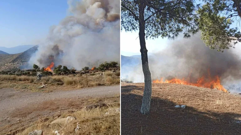Βοιωτία: Μήνυμα από το 112 για φωτιά στον Πρόδρομο – Εκκενώνεται η παραλία Σαράντη