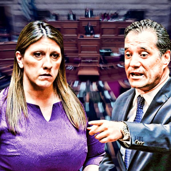 Γεωργιάδης για Κωνσταντοπούλου: Ούτε τρελή είναι, ούτε χαζή, ψάχνει την πολιτική της επιβίωση σε ένα ακροατήριο που γουστάρει χάος και ψευτομαγκιά