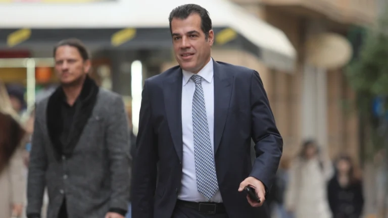 πλεύρης