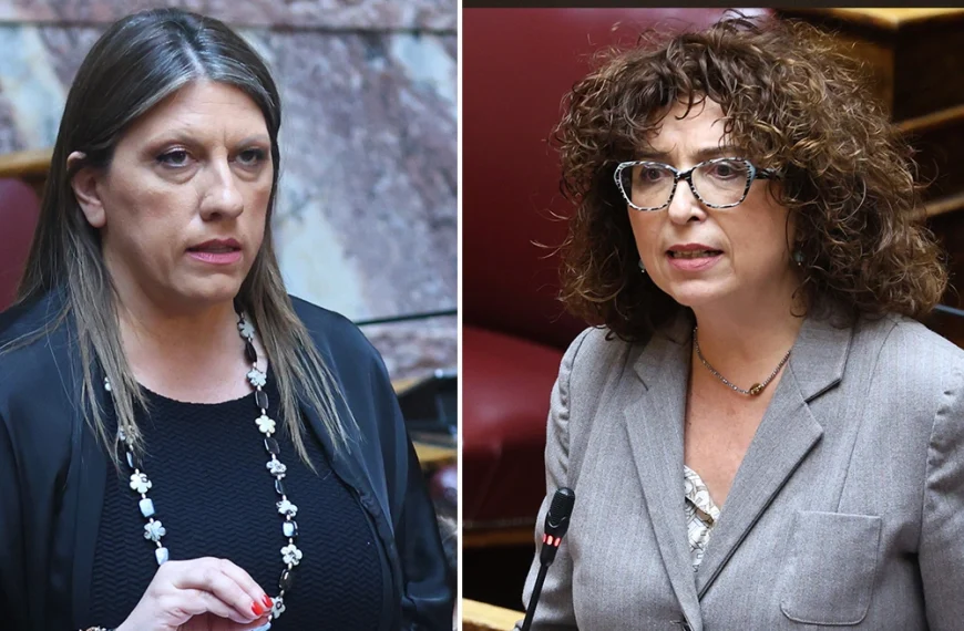 κωνσταντοπούλου νδ σκυλάκι