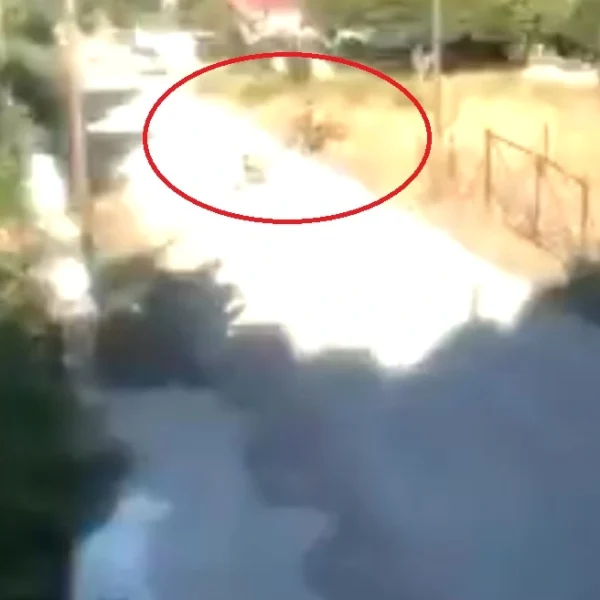 Γεωργιάδης: Υποψήφια της Πλεύσης Ελευθερίας η 57χρονη που έβαλε φωτιά σε ξερά χόρτα στην Κορινθία, εκεί οδηγεί η καθημερινή τοξικότητα