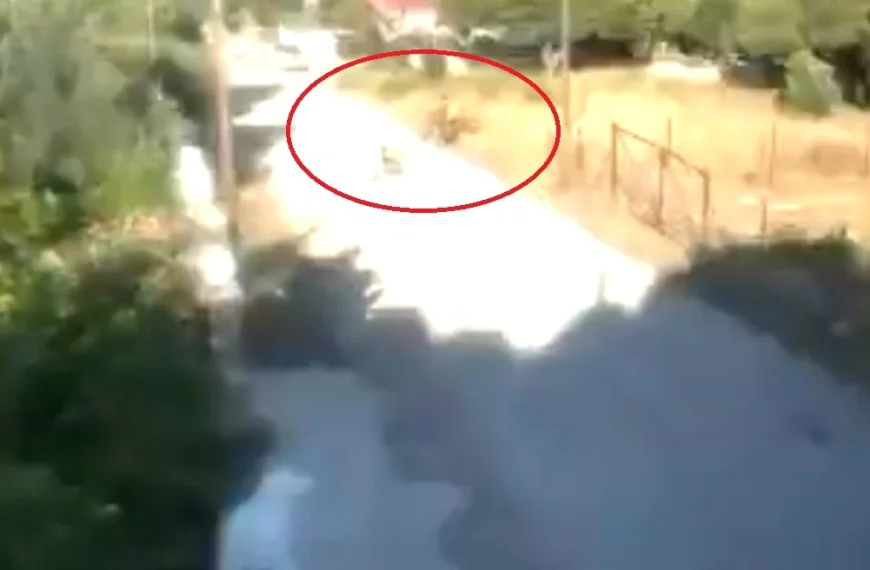 γεωργιάδη