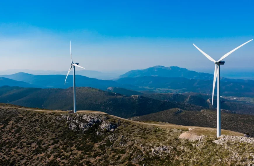 Στο μικροσκόπιο της ΔΑΕΕ τα αιολικά πάρκα σε όλη την Ελλάδα μετά τη μεγάλη φωτιά στη Βοιωτία