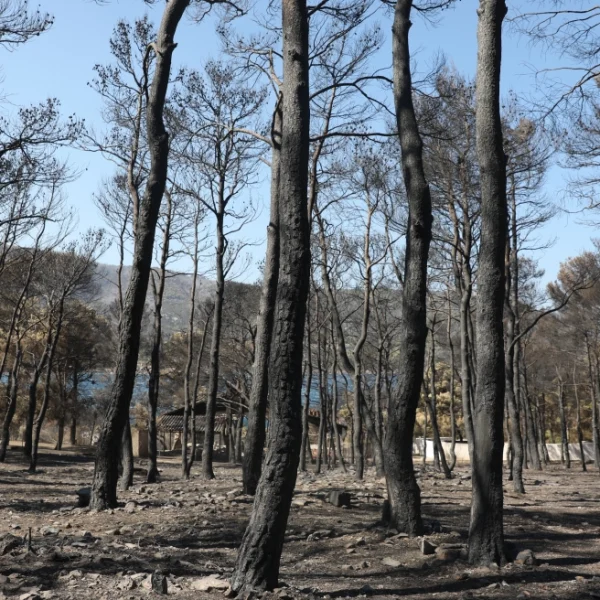 Χαρδαλιάς